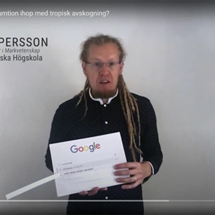 Professor Martin Persson berättar om konsekvenserna av tropisk avskogning