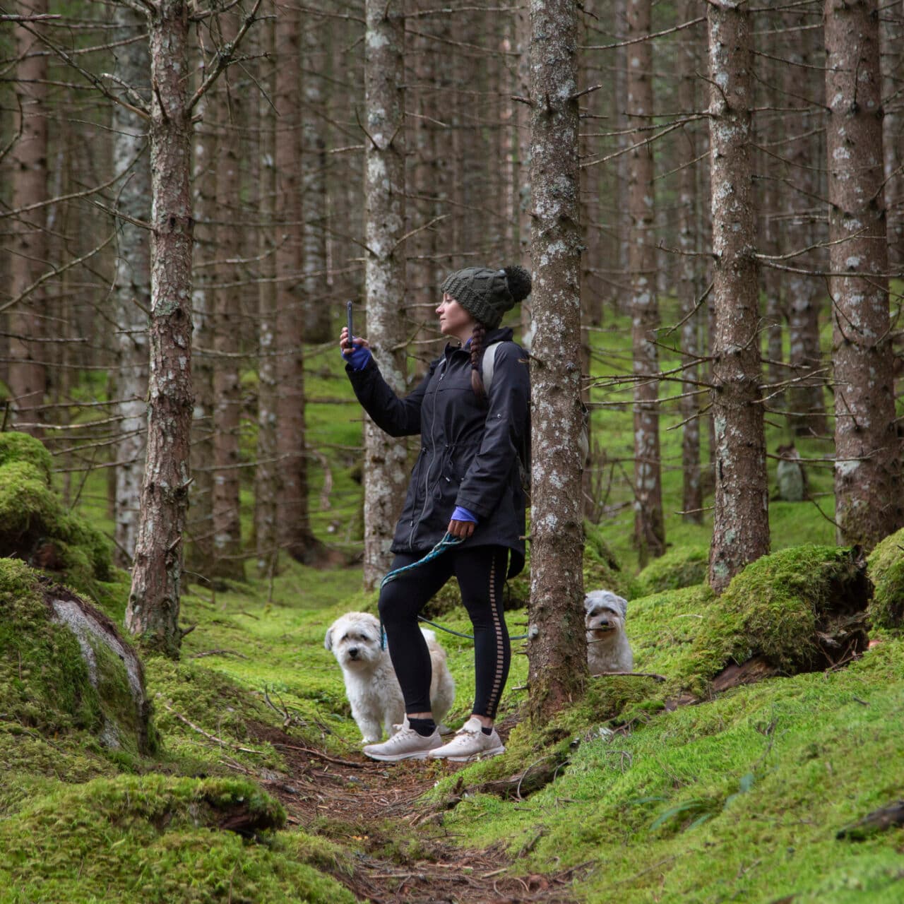 Kvinna står med hundar och mobiltelefon i skogen. Bilden har använts för digitala skogshjältar.