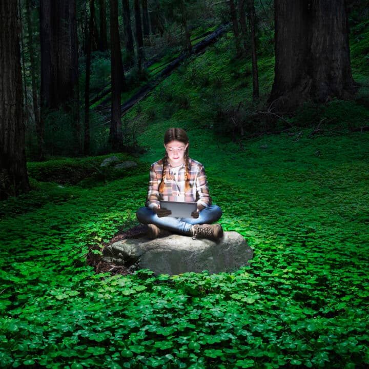 A fifteen year old caucasian girl dressed in hiking clothing and using a glowing tablet in a darkened Big Sur, California grove of redwoods sitting cross legged on a rock surrounded by a carpet of clovers.Bilden används som signatur till Digital globala hjältar, och ska helst inte användas till andra.