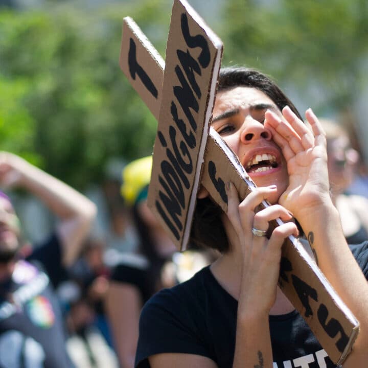 Demonstration för miljöförsvarare och urfolk ii Brasilien