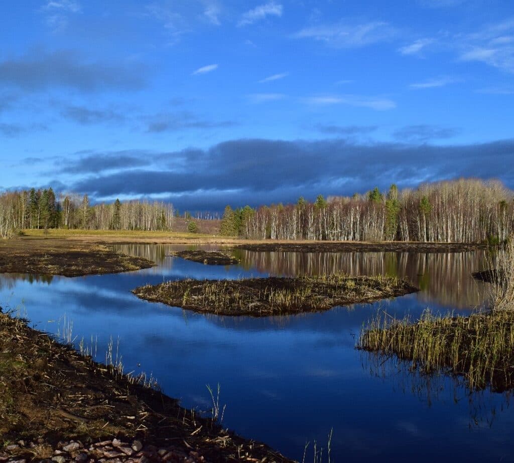 Mödänge våtmark i Bollnäs.