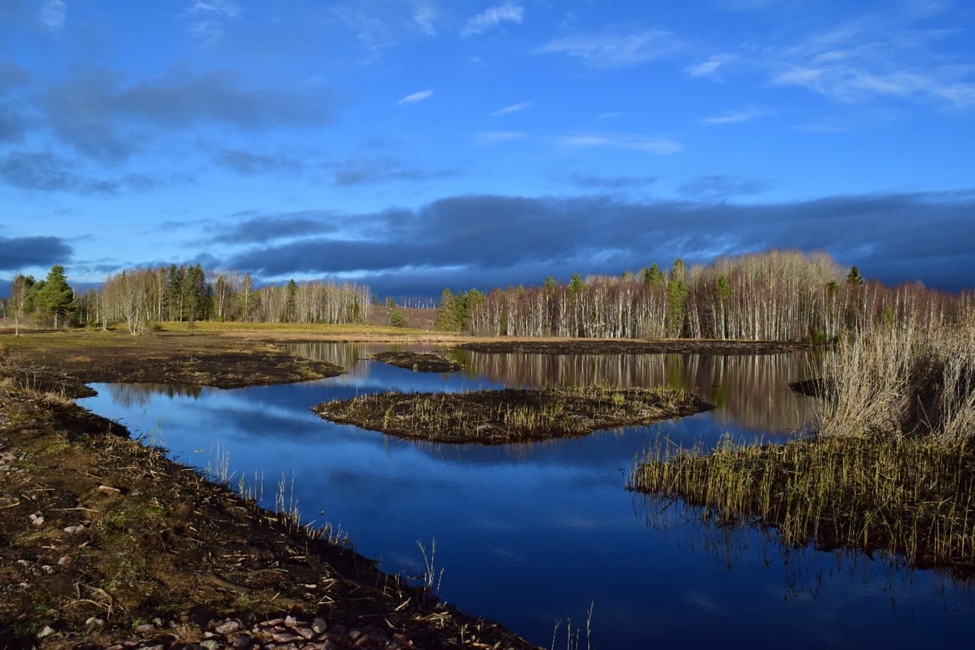 Mödänge våtmark i Bollnäs.