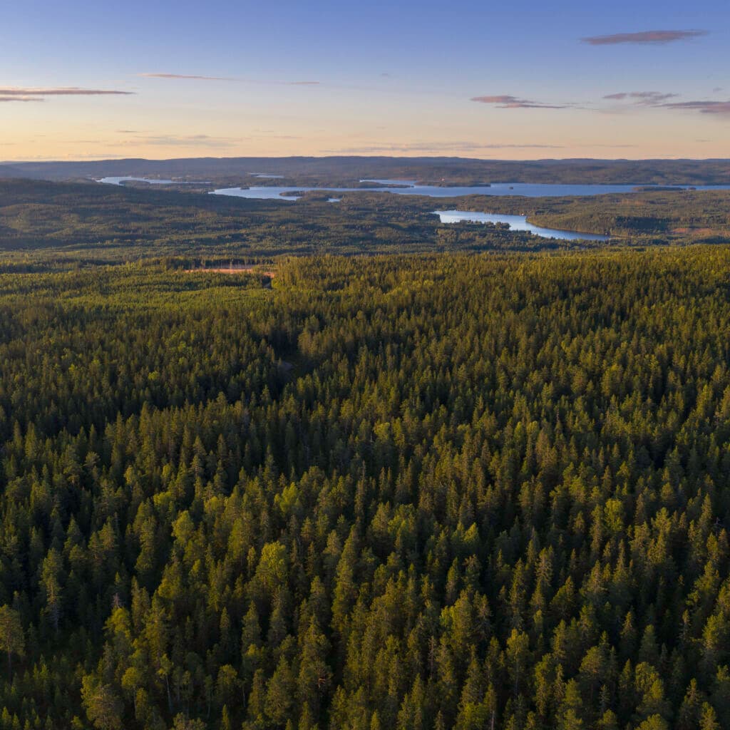 Drone view of a landscape with vast forests in the southern Dalarna region of Sweden.