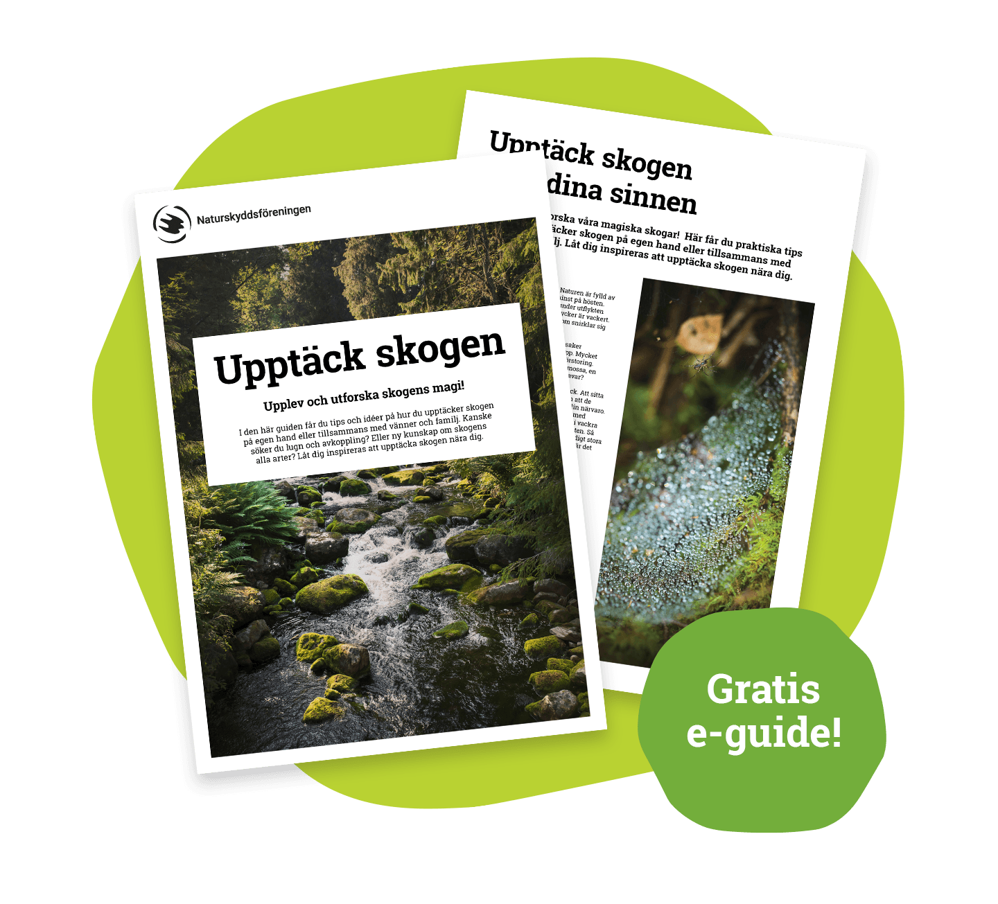 Ladda ner vår gratis e-guide Upptäck skogen.