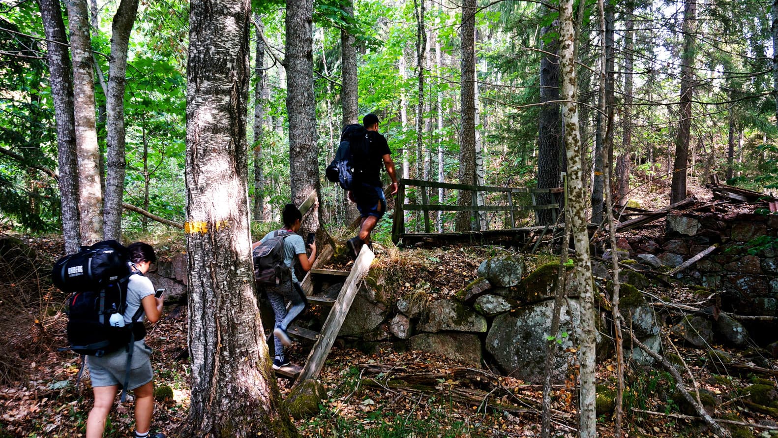 Vandring i skogen.