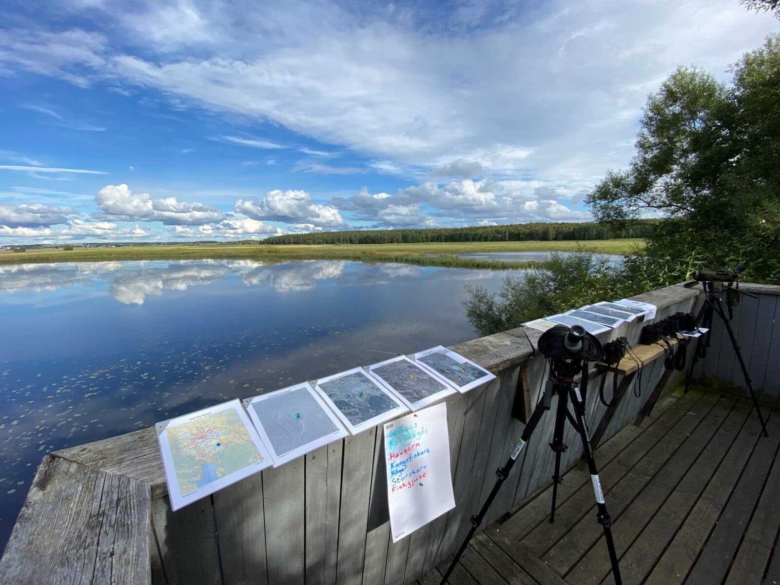 Bilden visar en träplattform vid en sjö med en spegelblank vattenyta som reflekterar molnen och himlen. På plattformen finns ett teleskop monterat på ett stativ, riktat mot sjön. Bredvid teleskopet ligger flera utskrivna papper eller kartor utplacerade på räcket. Det ser ut som en plats för observation eller naturstudier. Bakgrunden domineras av en vidsträckt utsikt över sjön och en skogsbeklädd horisont under en delvis molnig himmel.