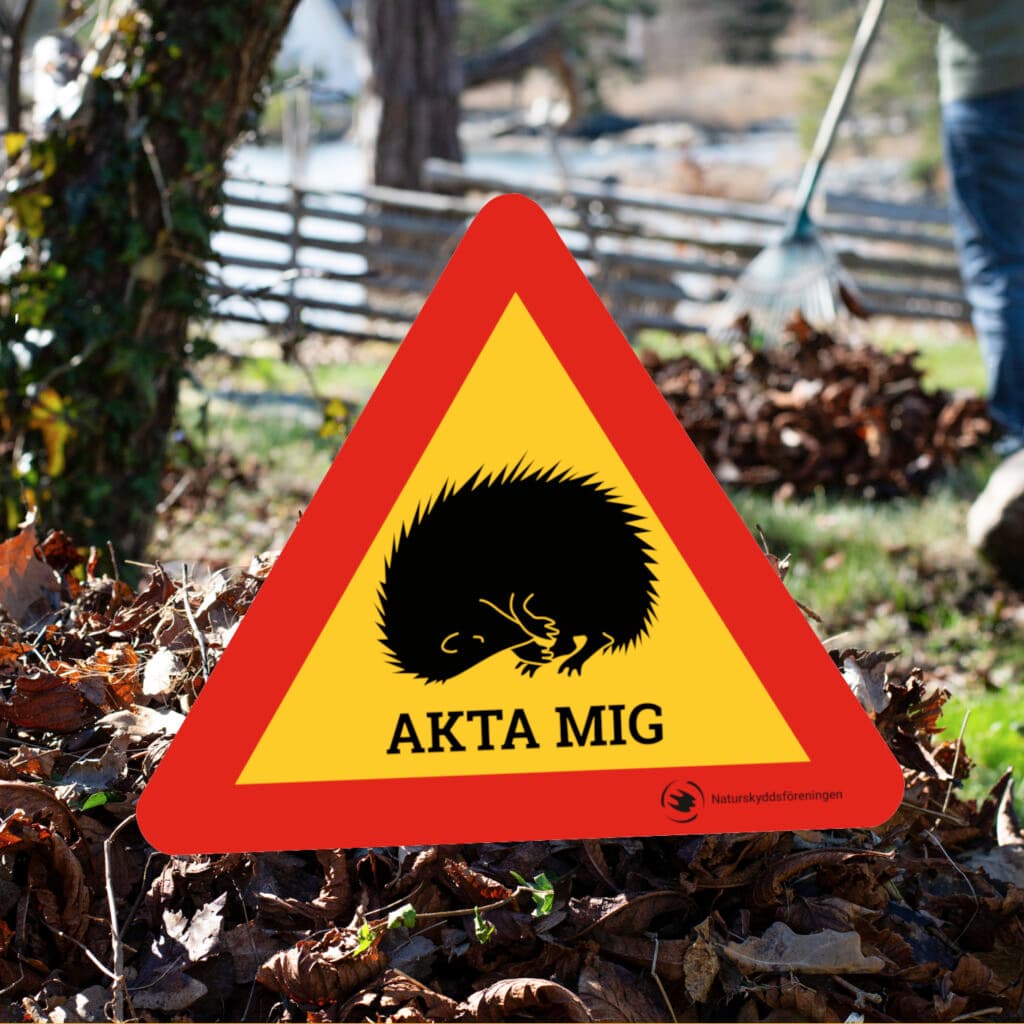 Bilden visar en varningsskylt med en röd och gul triangel. Inuti triangeln finns en svart silhuett ...