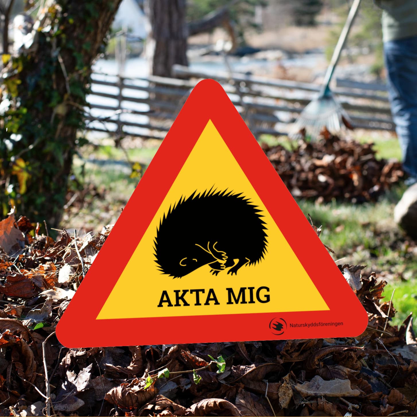 Bilden visar en varningsskylt med en röd och gul triangel. Inuti triangeln finns en svart silhuett ...