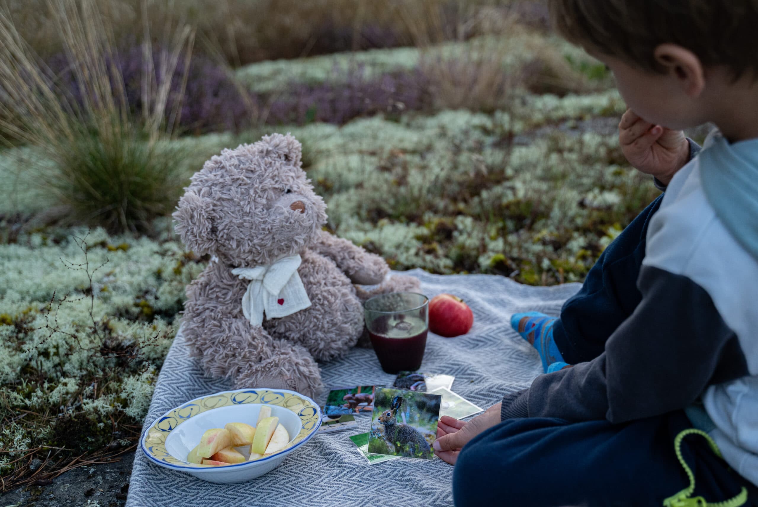 Picknick med gosedjur