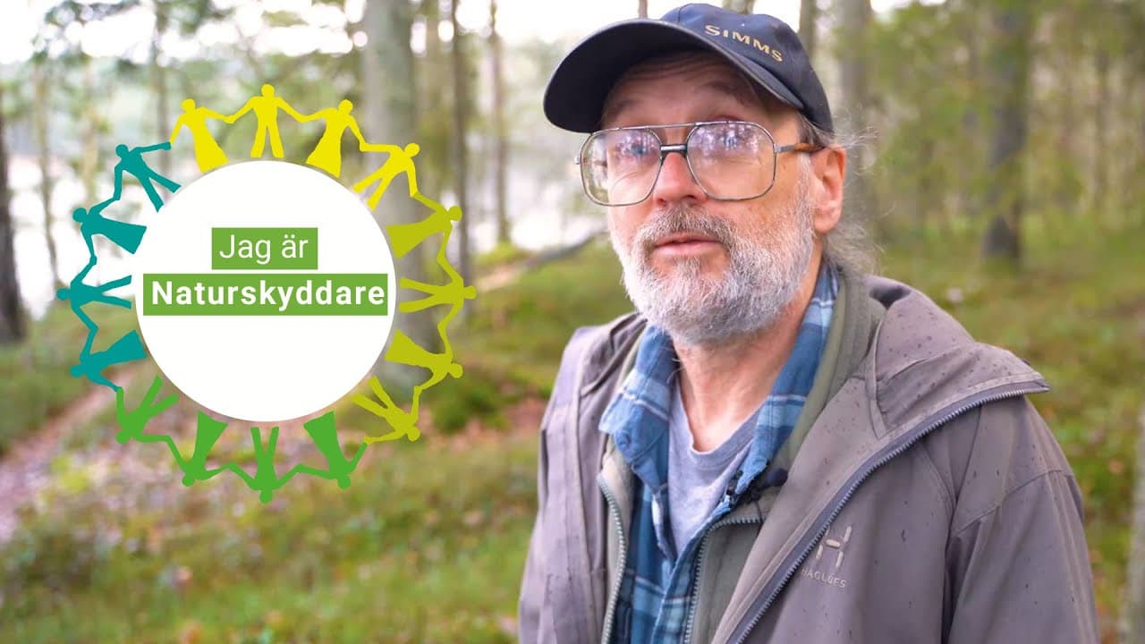Bild från youtube-video