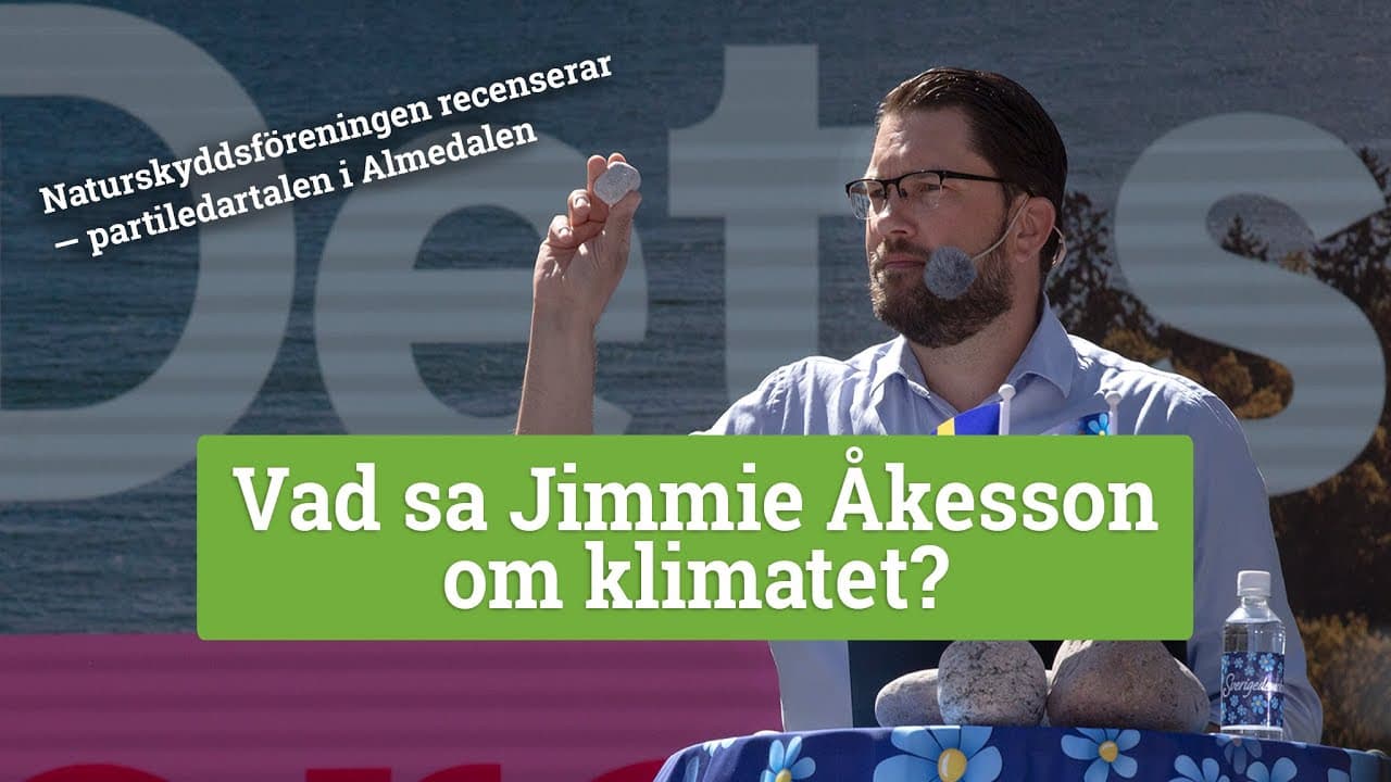 Bild från youtube-video