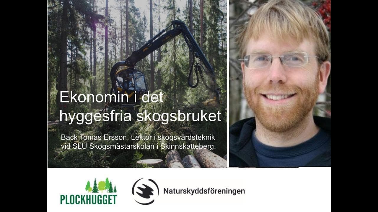Bild från youtube-video
