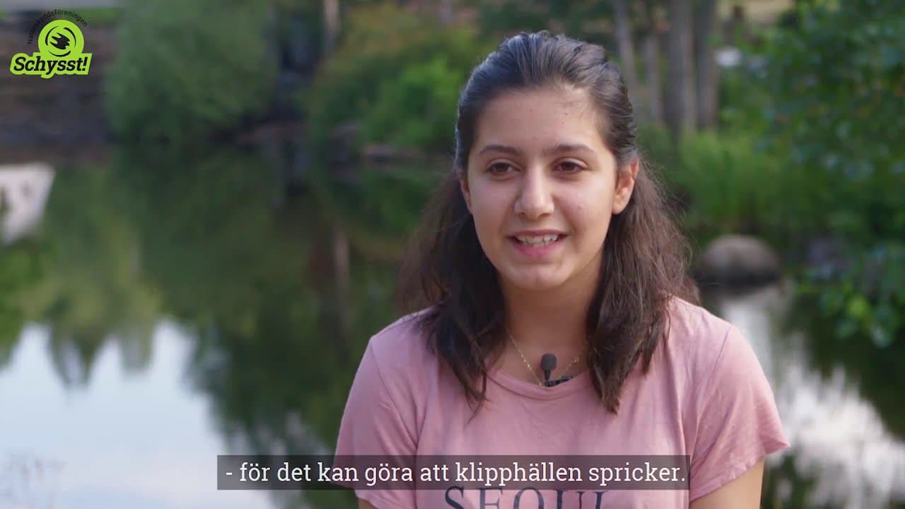 Bild från youtube-video