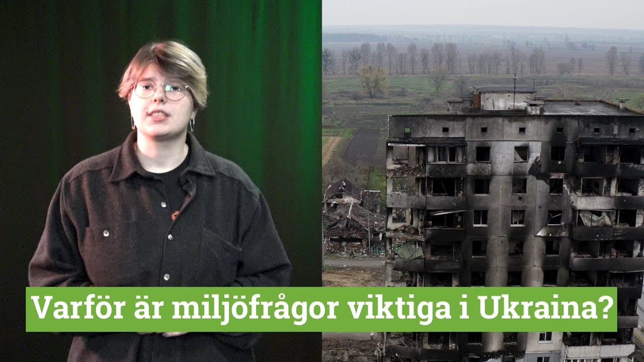 Bild från youtube-video