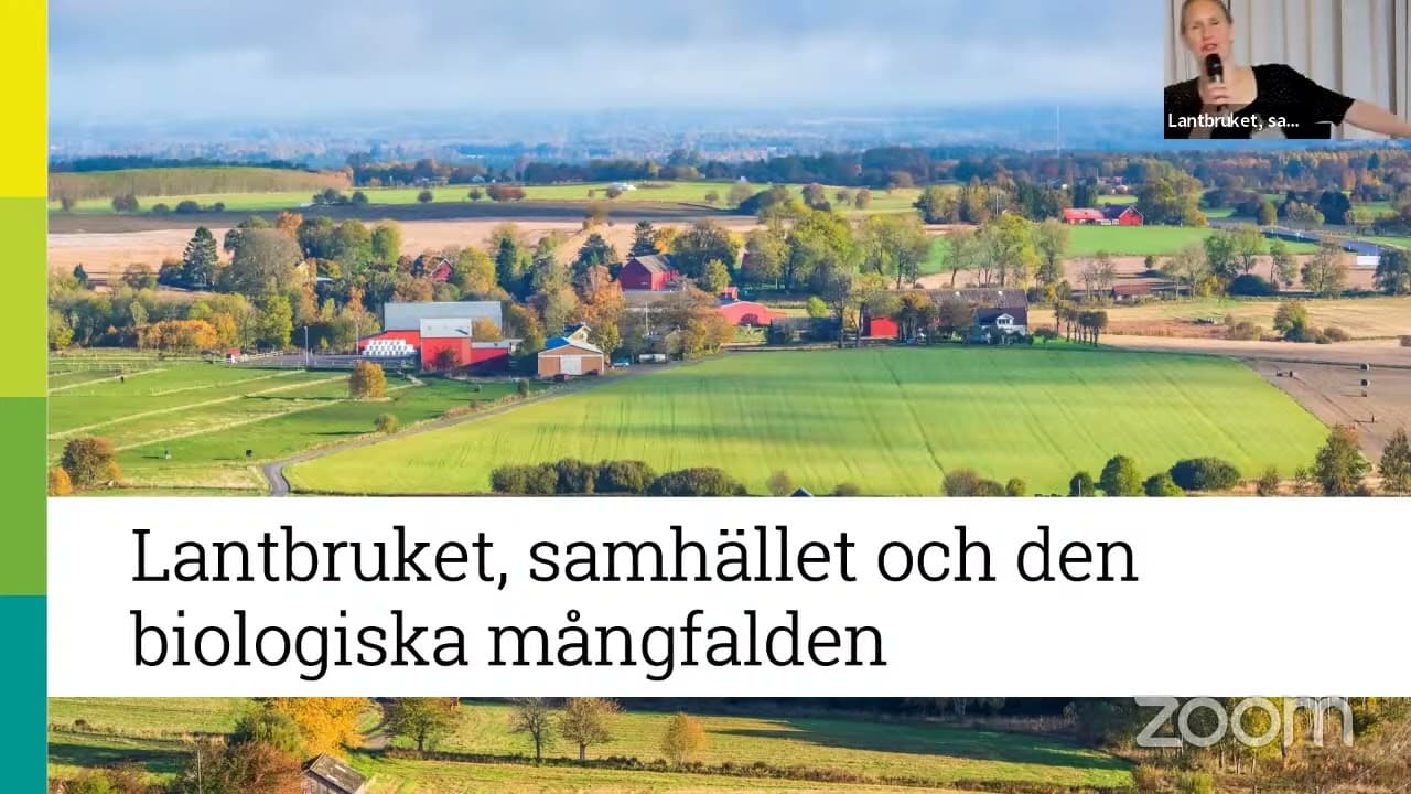 Bild från youtube-video