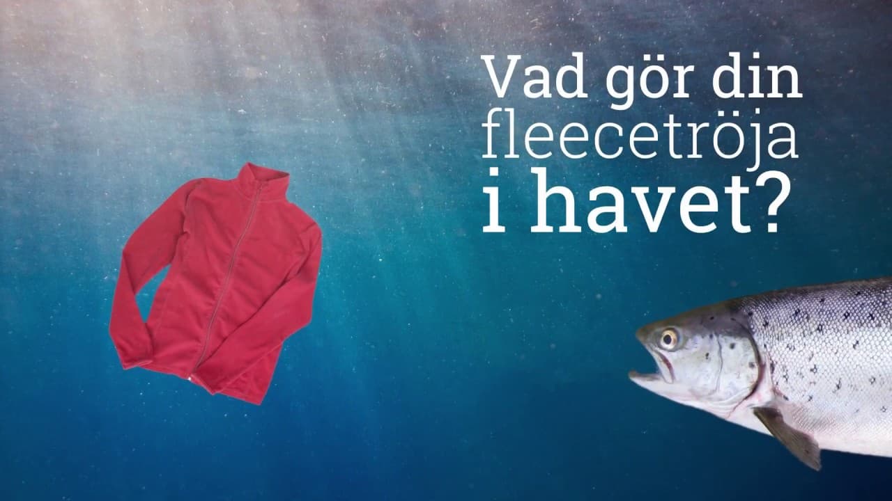 Bild från youtube-video