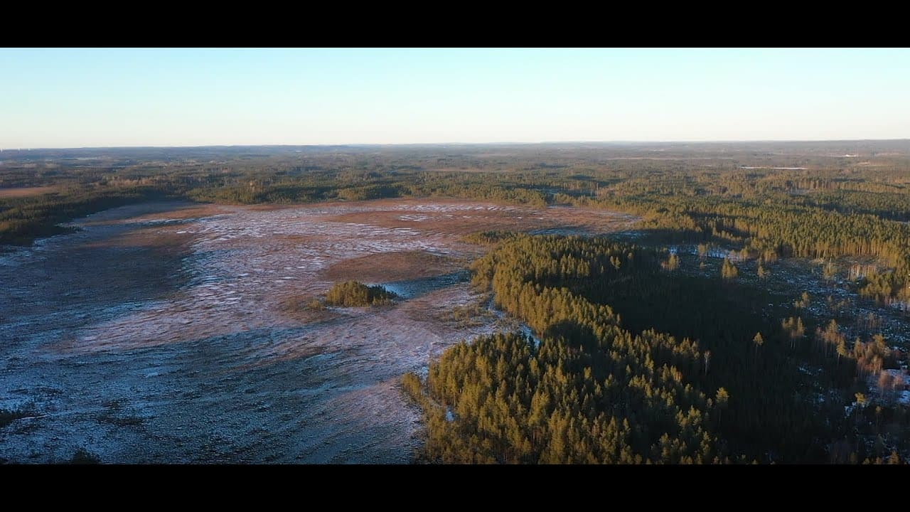 Bild från youtube-video