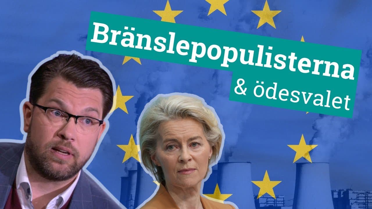 Bild från youtube-video