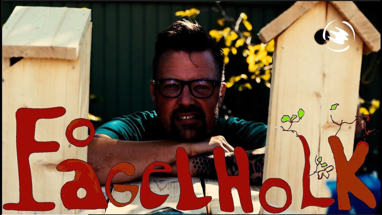 Bild från youtube-video