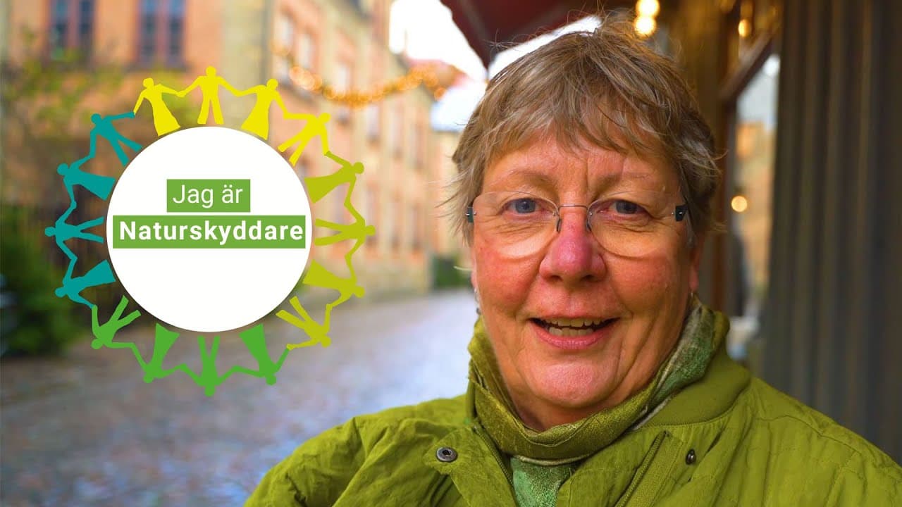 Bild från youtube-video