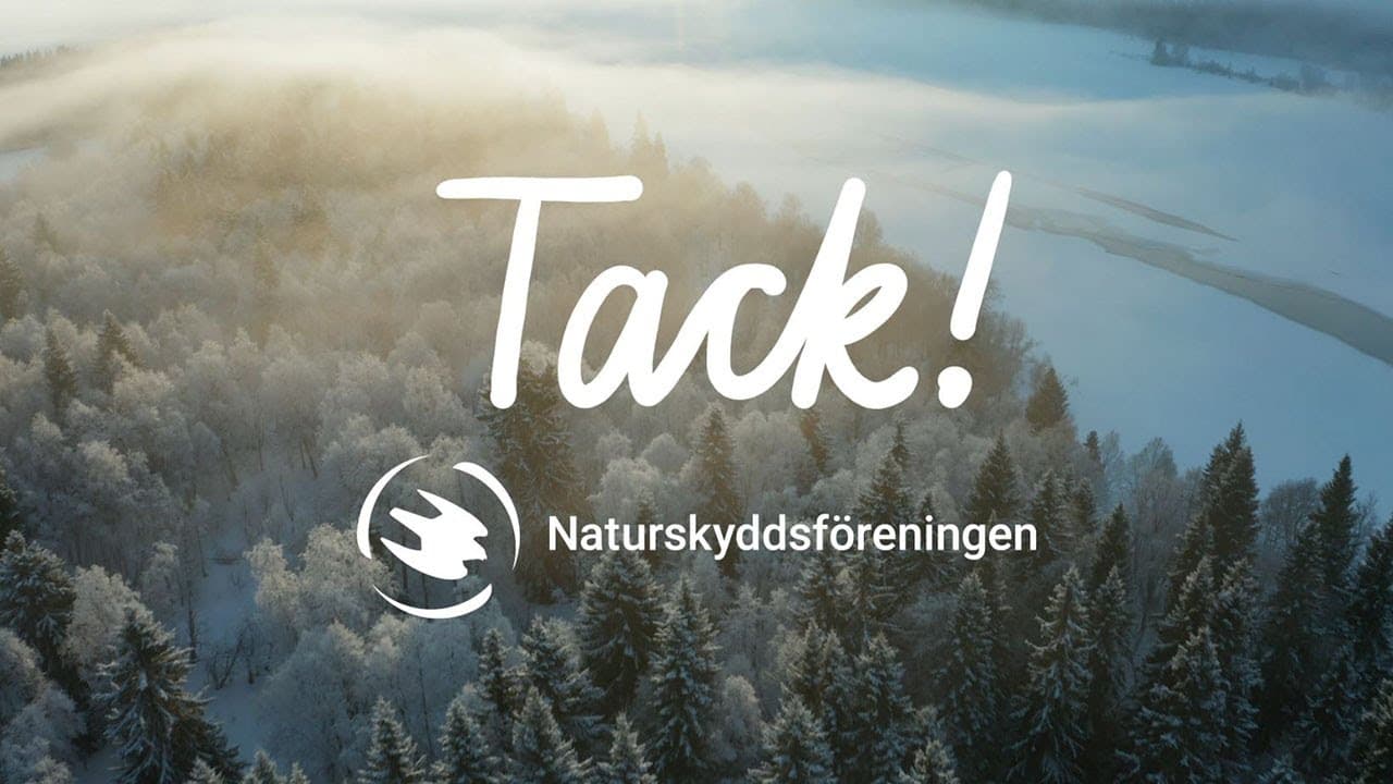 Bild från youtube-video