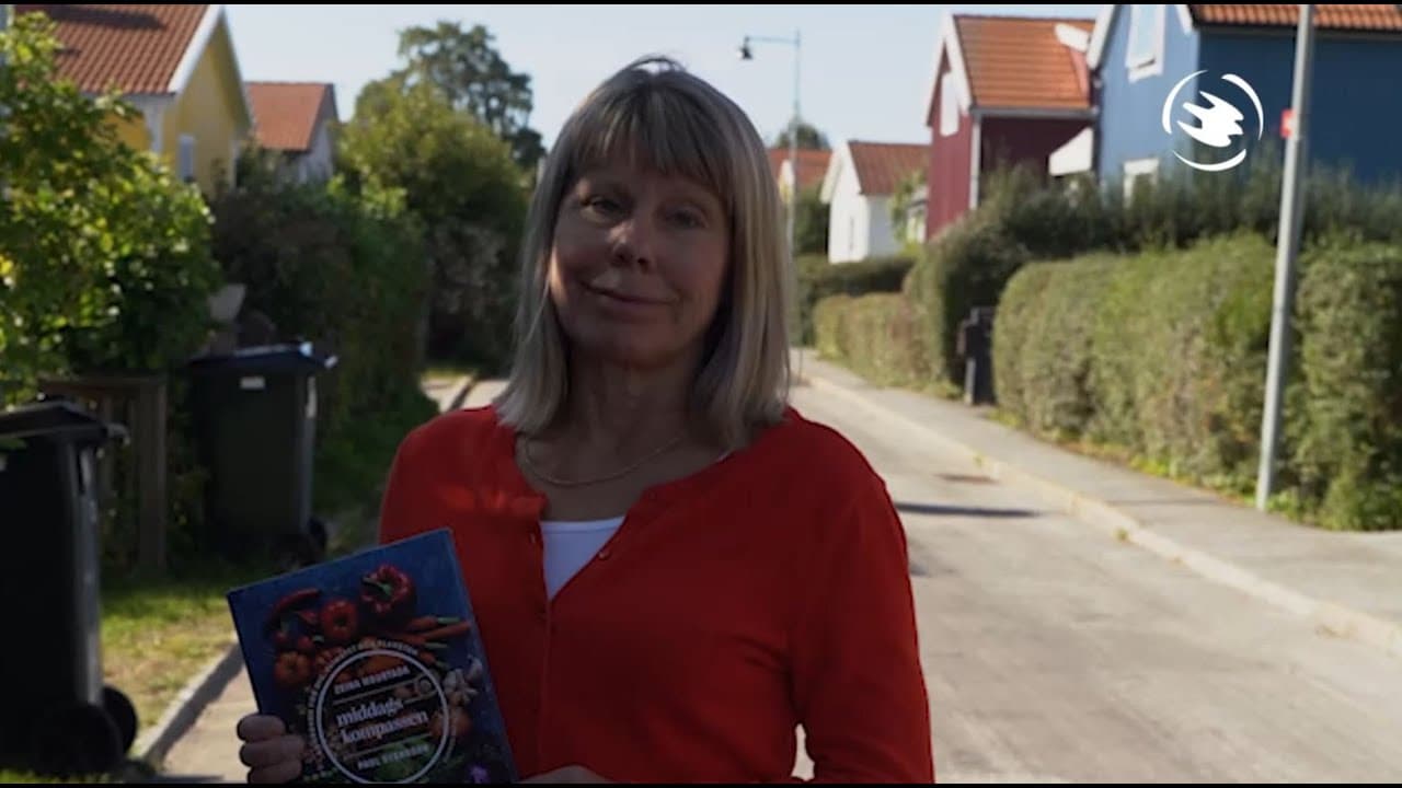 Bild från youtube-video
