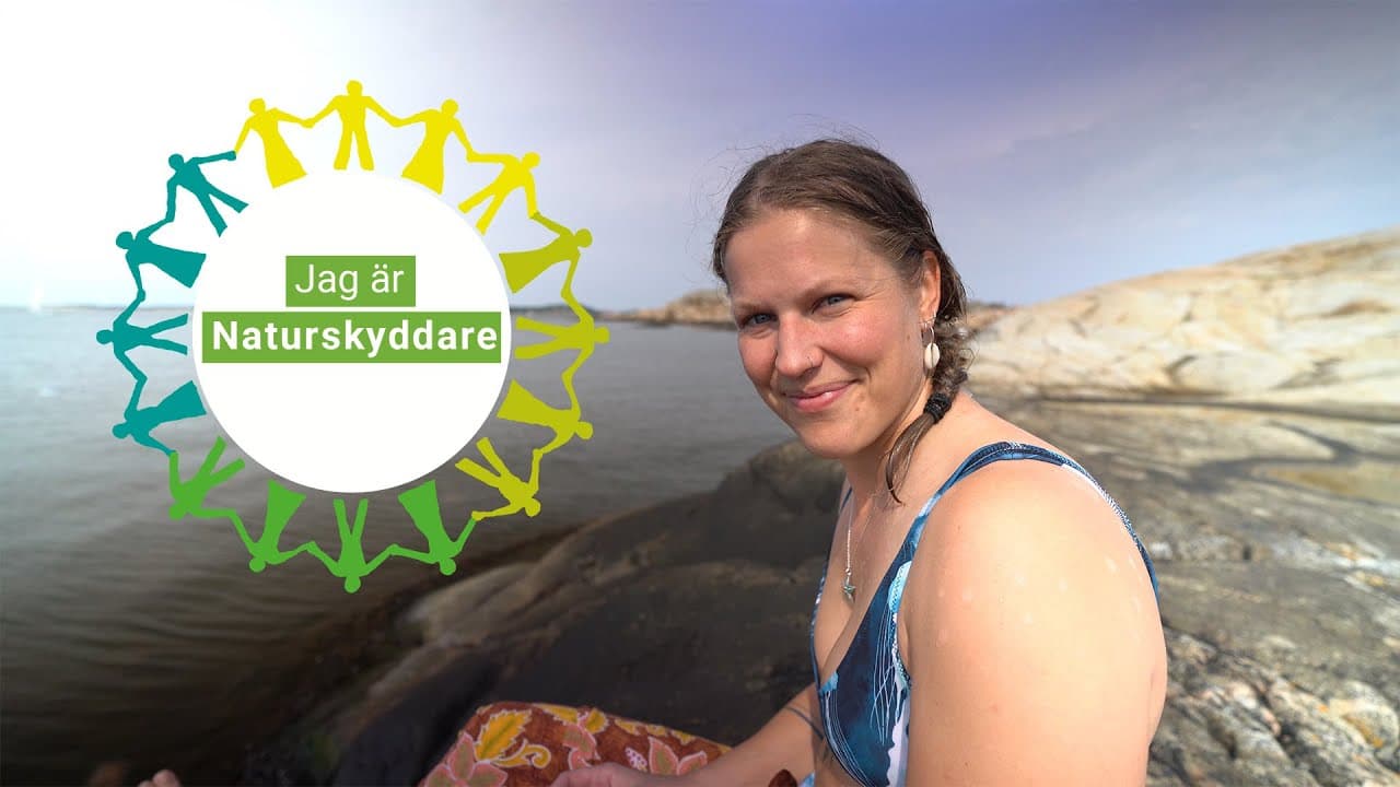 Bild från youtube-video