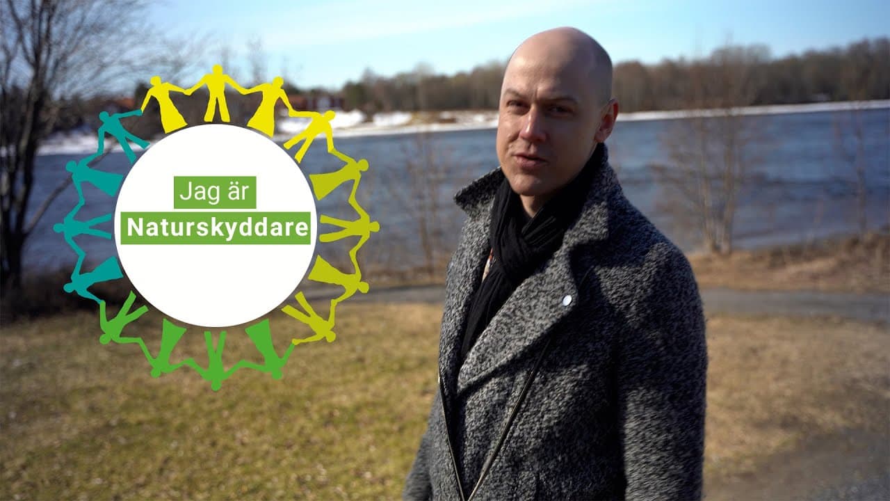 Bild från youtube-video