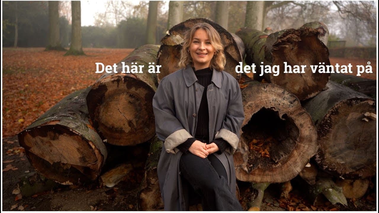 Bild från youtube-video