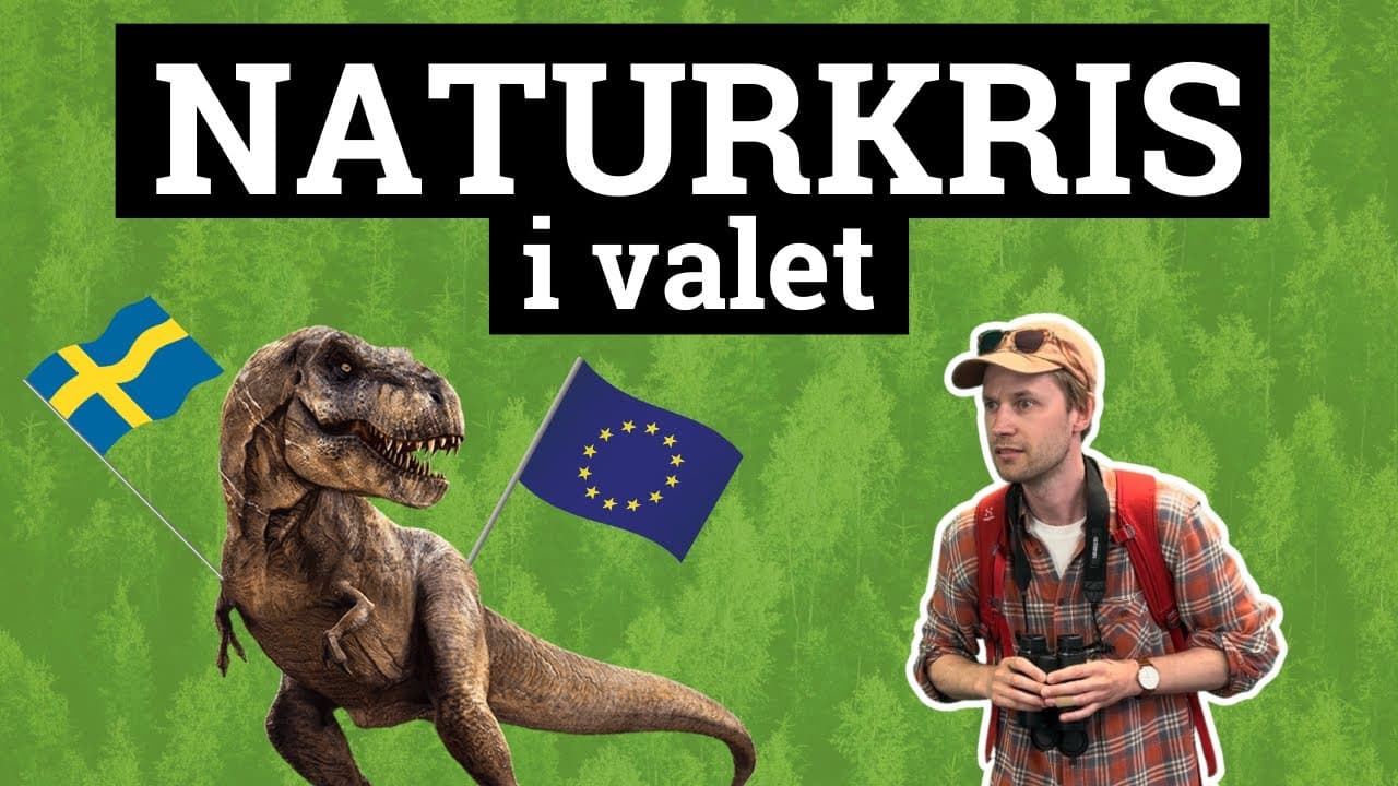 Bild från youtube-video
