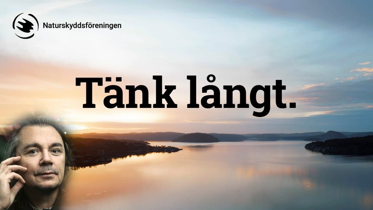 Bild från youtube-video