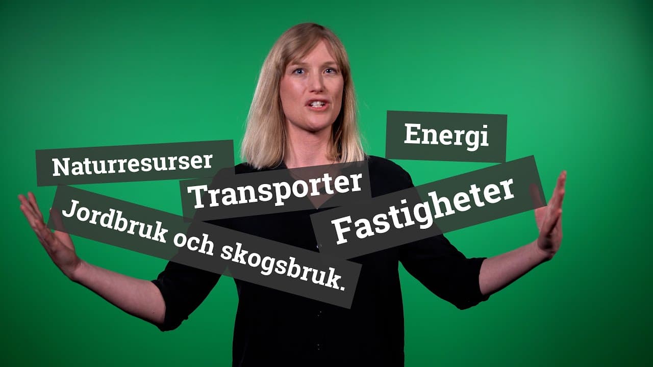 Bild från youtube-video