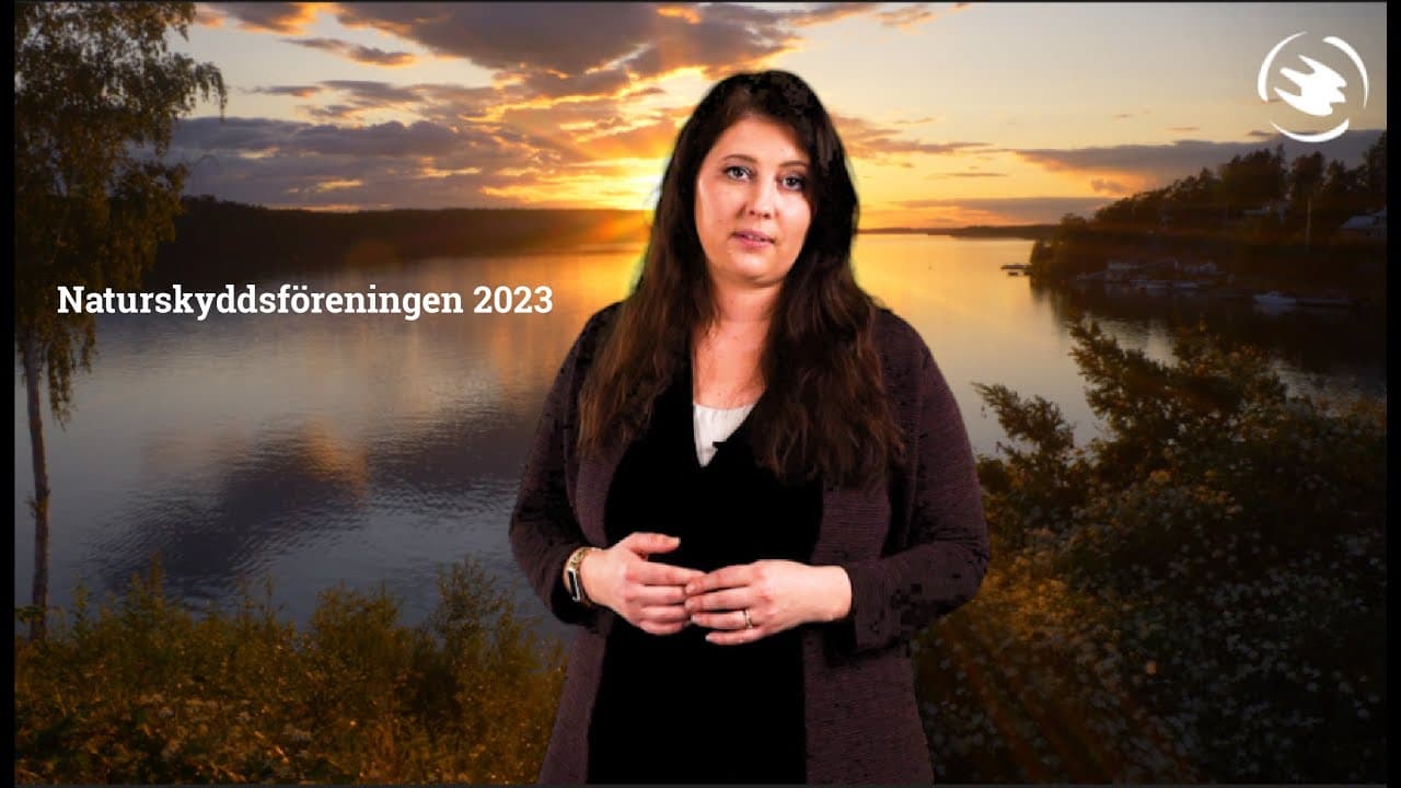 Bild från youtube-video