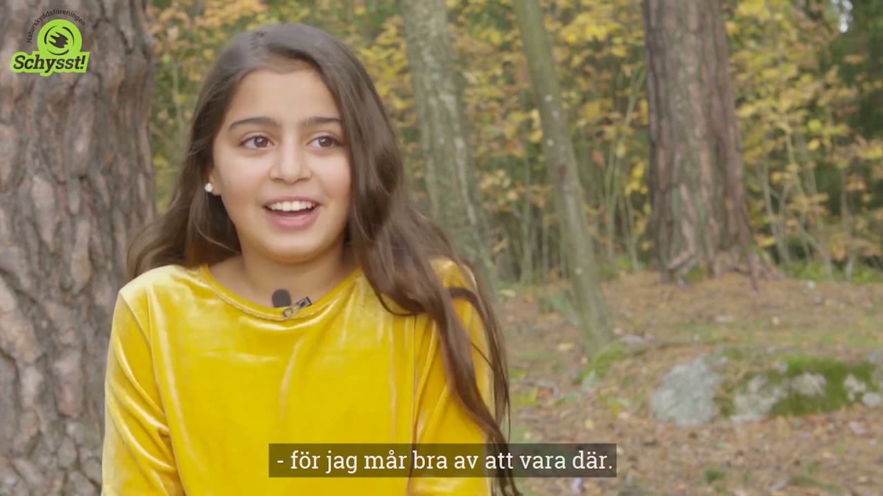 Bild från youtube-video
