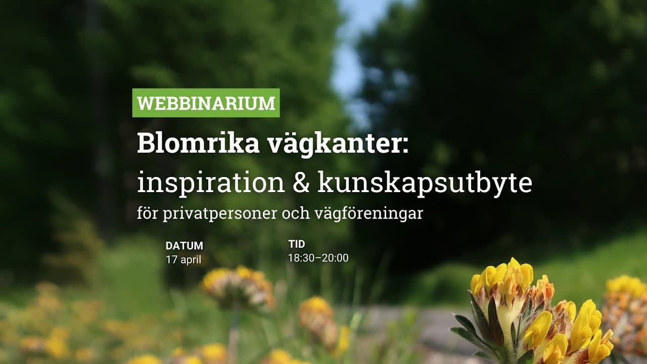 Bild från youtube-video