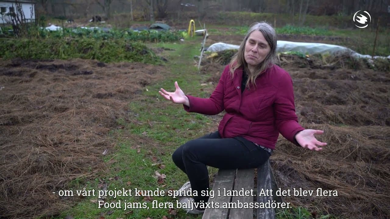 Bild från youtube-video