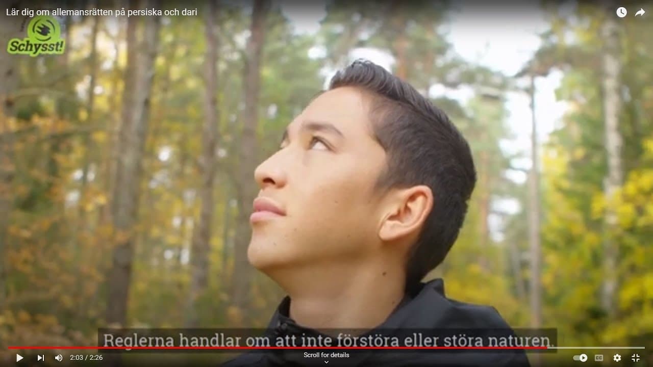 Bild från youtube-video