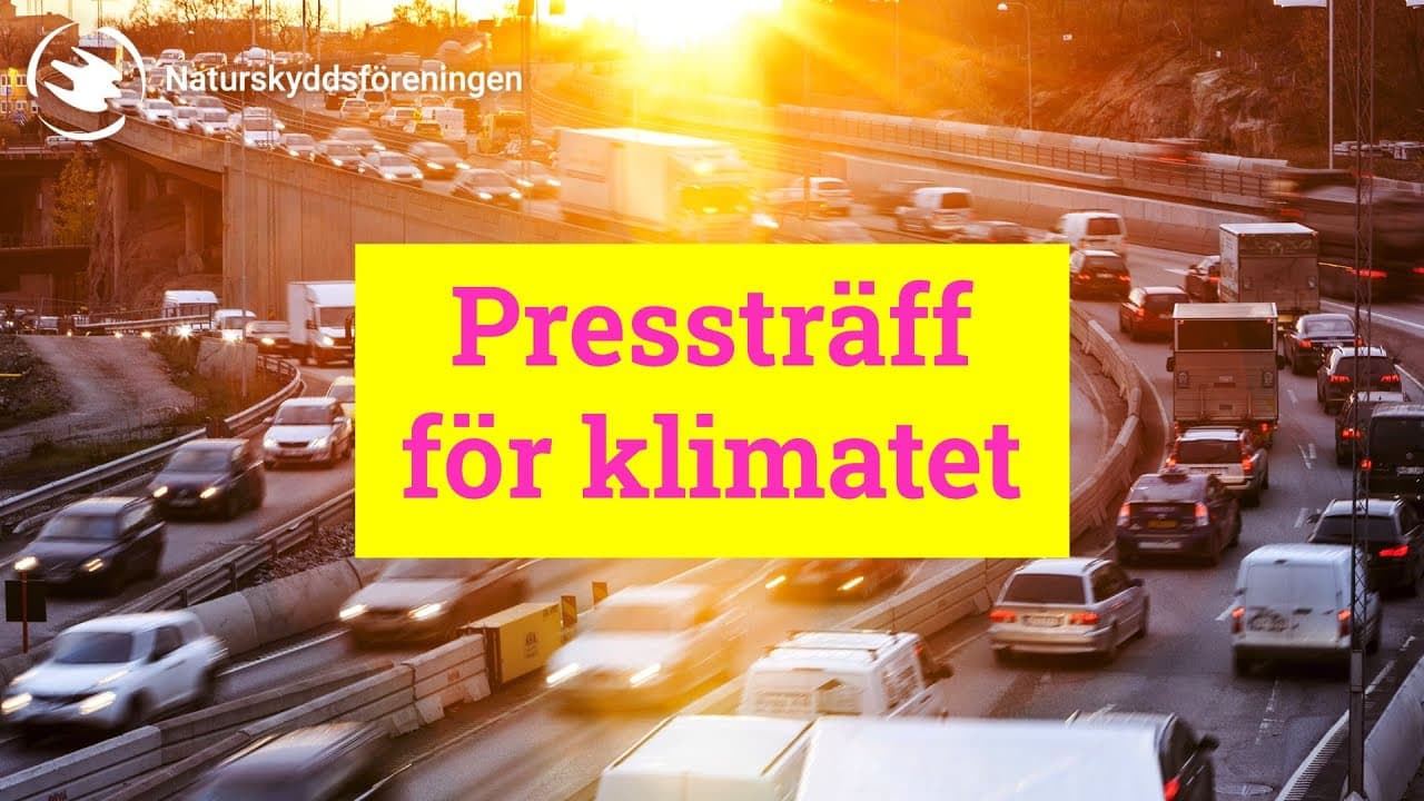 Bild från youtube-video