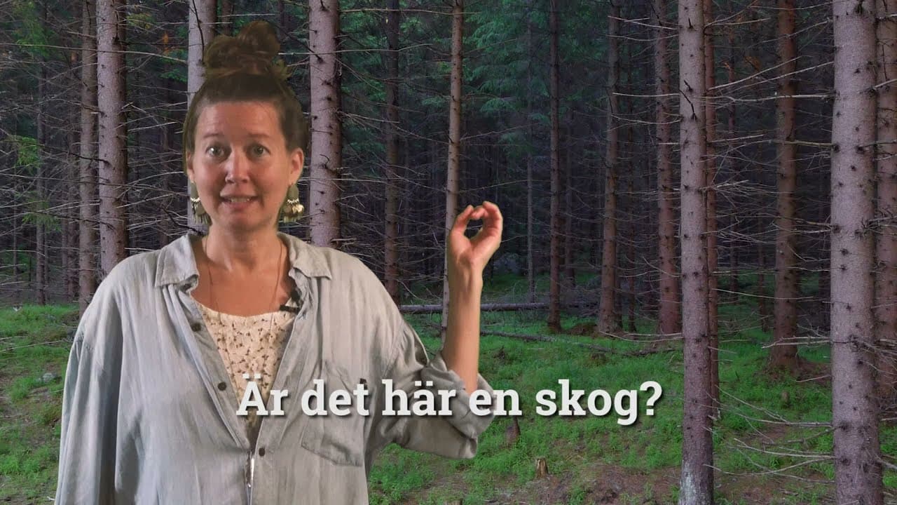 Bild från youtube-video