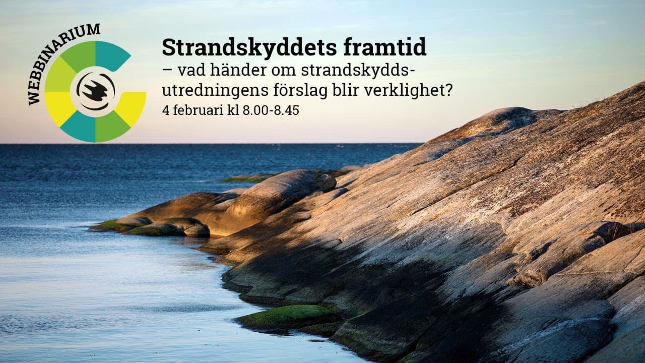 Bild från youtube-video