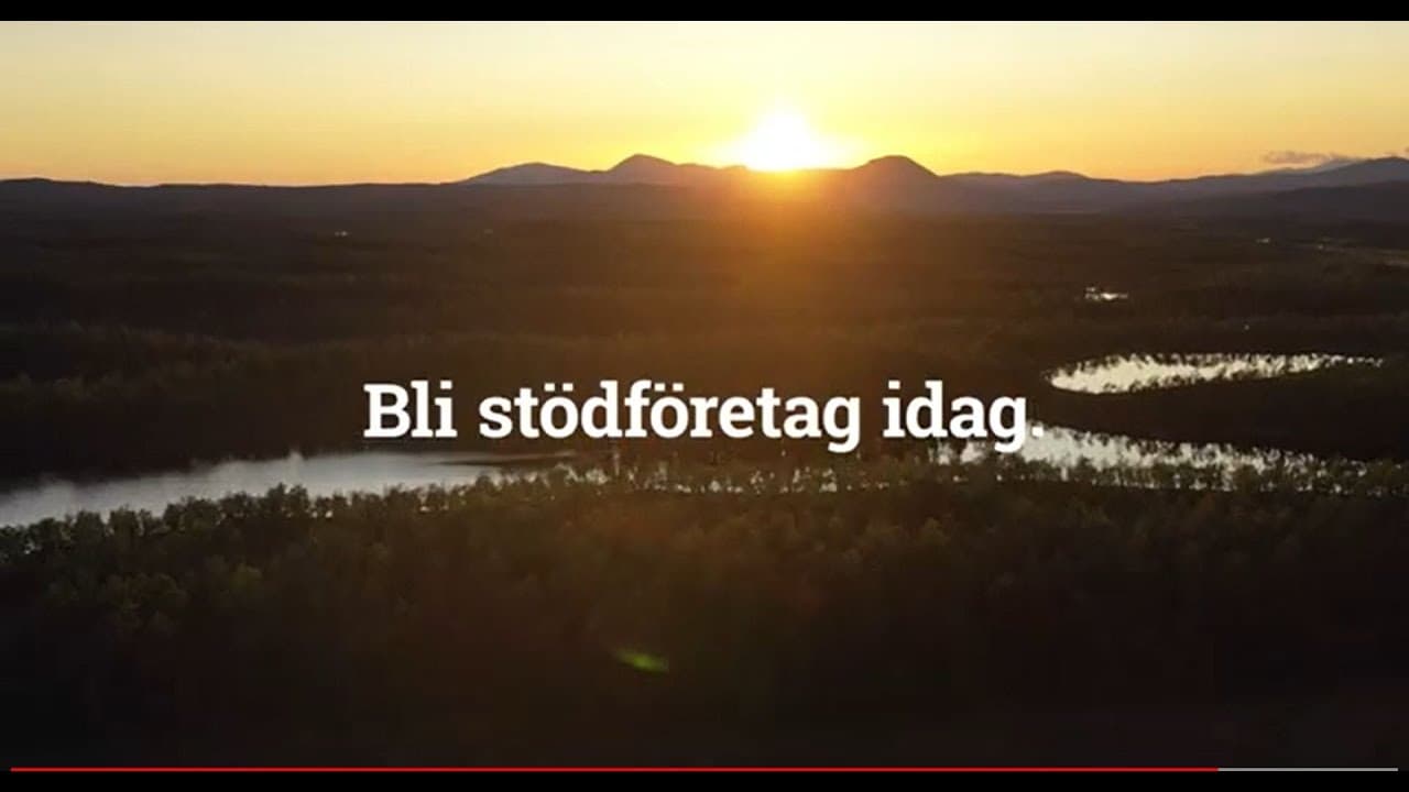 Bild från youtube-video