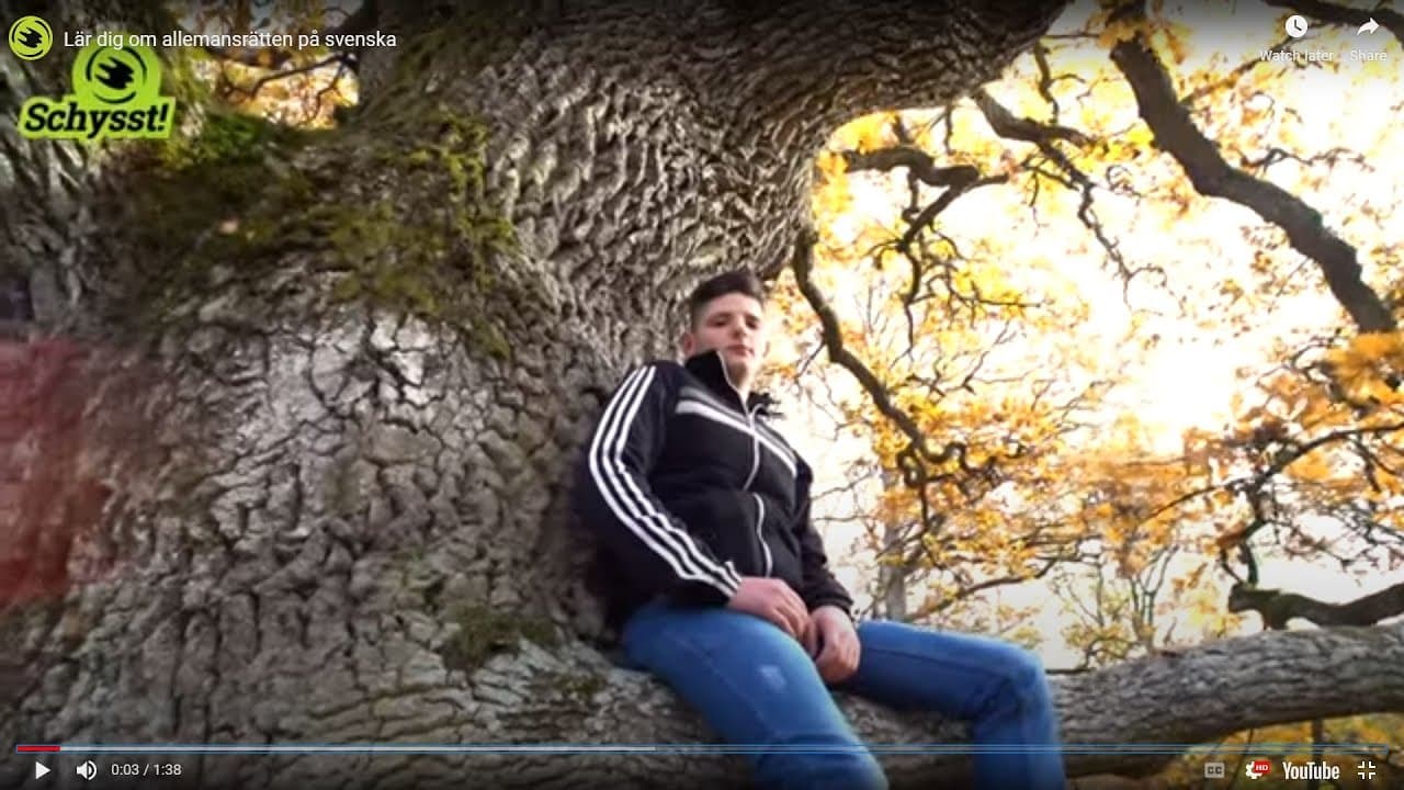 Bild från youtube-video
