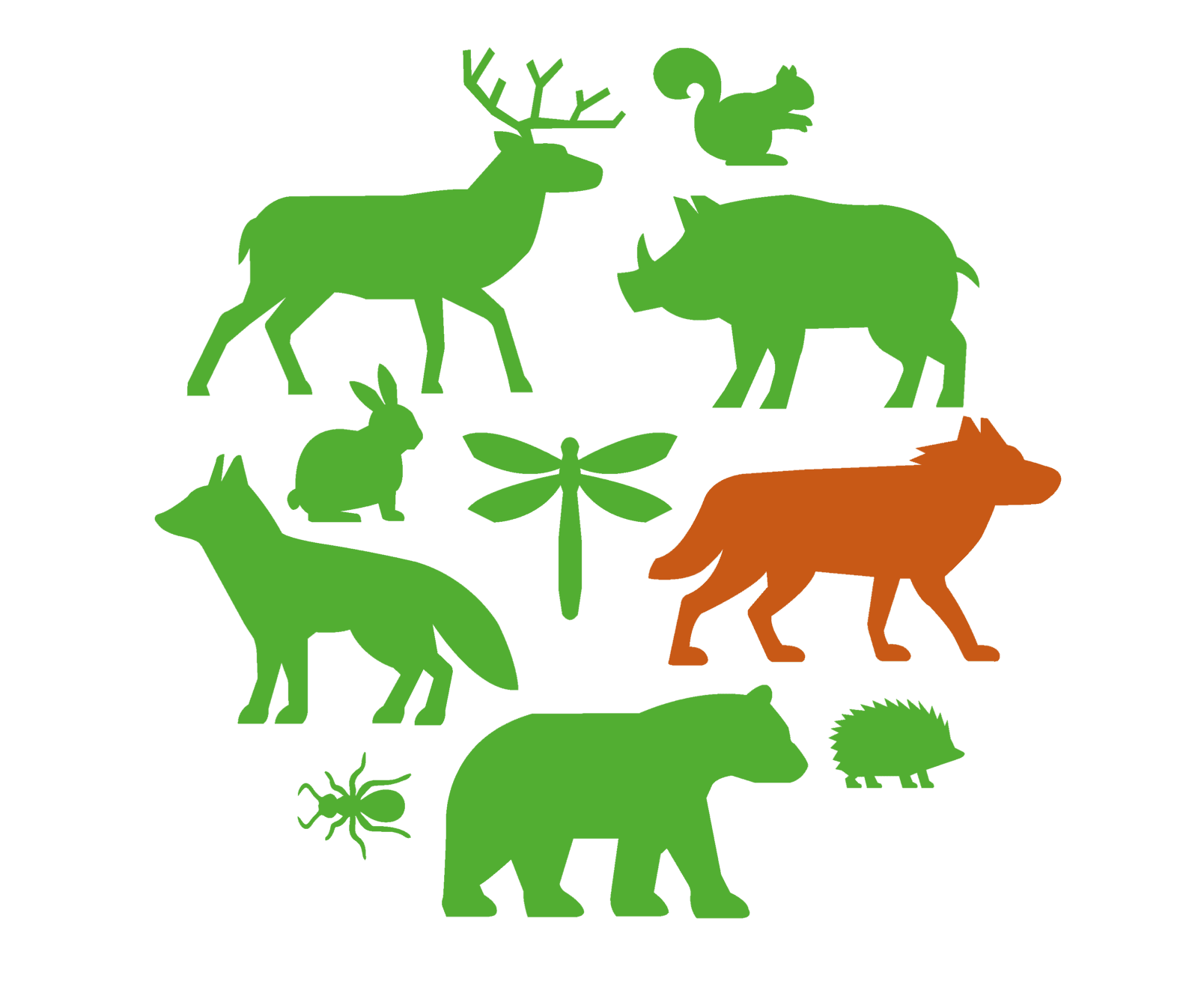 Illustration med djurarter.